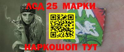 шишки Нарткала