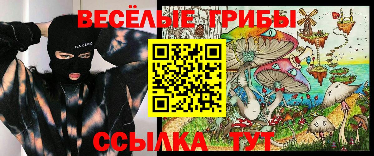 Фрязино  Псилоцибиновые грибы Psilocybine cubensis  Псилоцибиновые грибы прущие грибы  Вход с VPN 